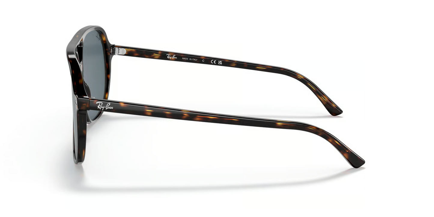 Ray-Ban RB2198 Bill Sunglasses