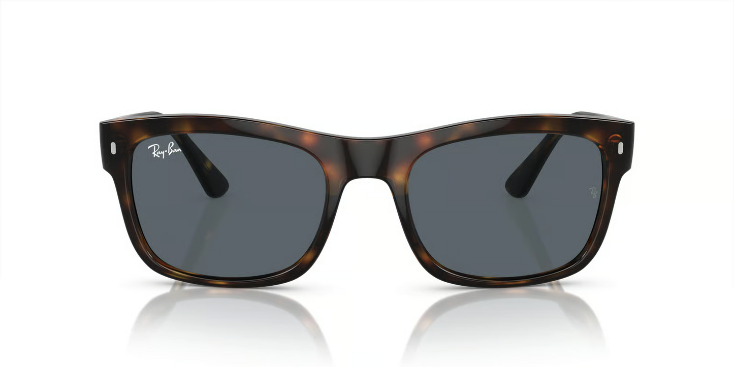 Ray-Ban RB4428 Sunglasses