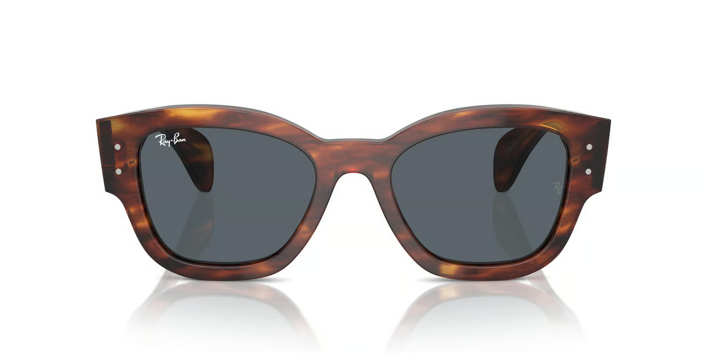 Ray-Ban RB7681S Jorge Sunglasses