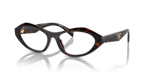 17N1O1 - Root Tortoise with Clear Lenses