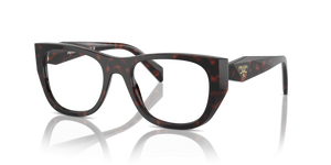 17N1O1 - Root Tortoise with Clear Lenses