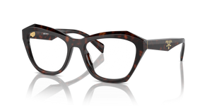 17N1O1 - Root Tortoise with Clear Lenses