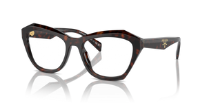 17N1O1 - Root Tortoise with Clear Lenses