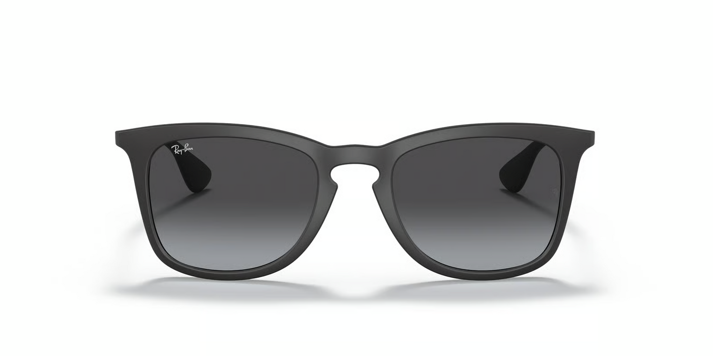 Ray-Ban RB4221 Sunglasses