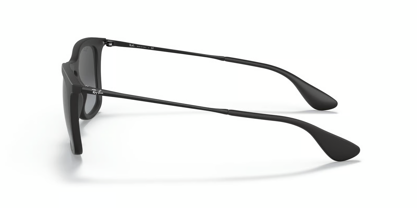 Ray-Ban RB4221 Sunglasses