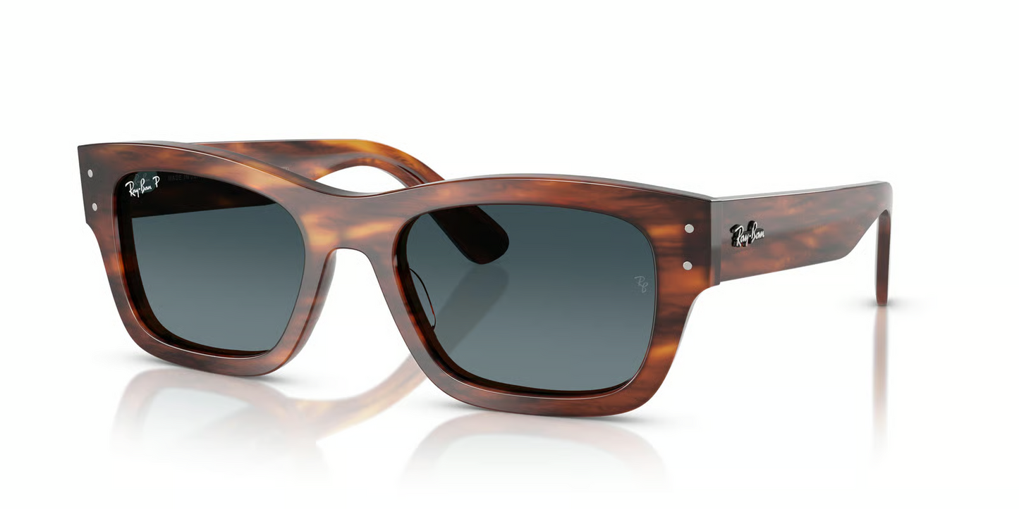 Ray-Ban RB7683S Joseph Sunglasses