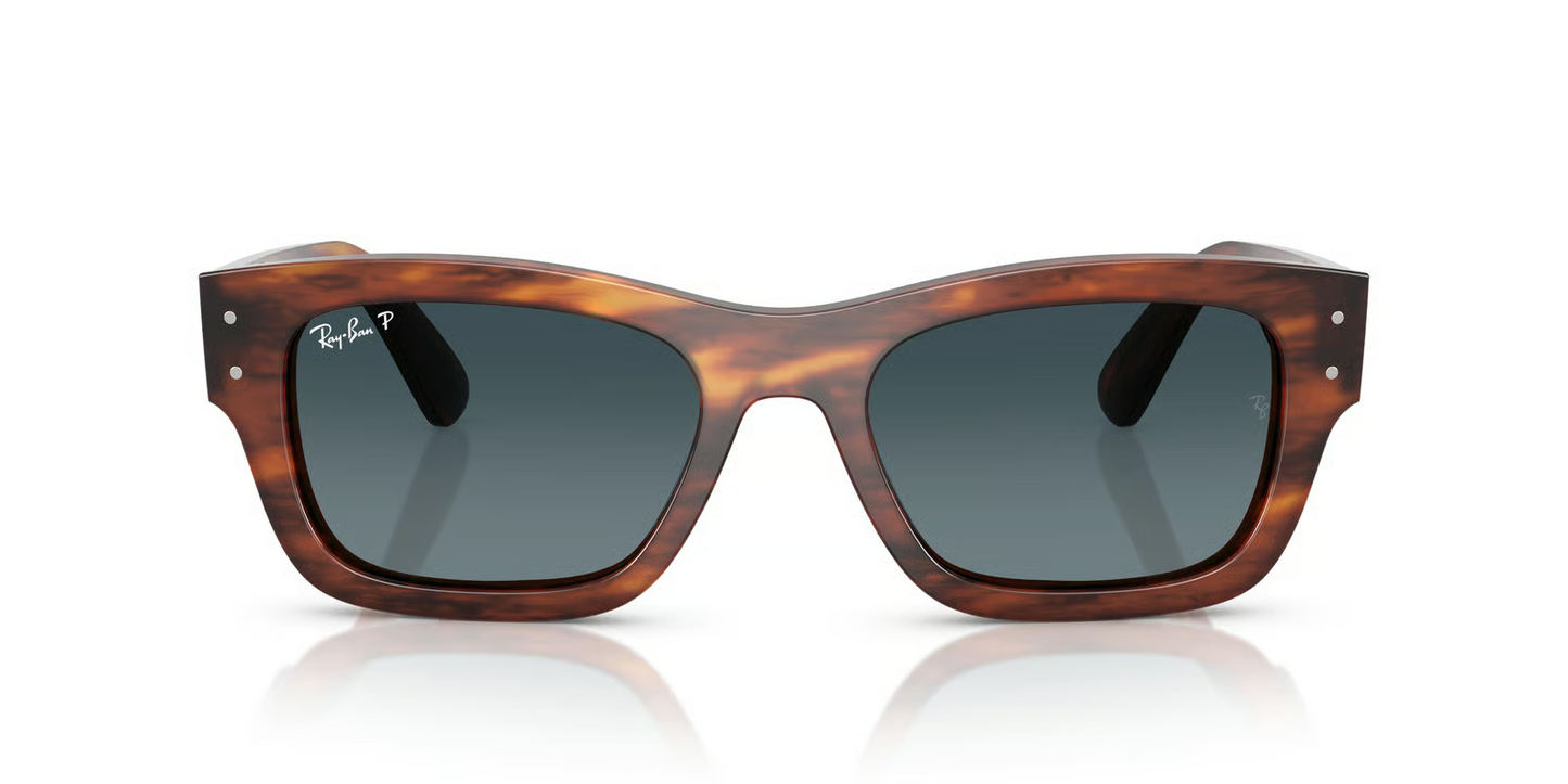 Ray-Ban RB7683S Joseph Sunglasses