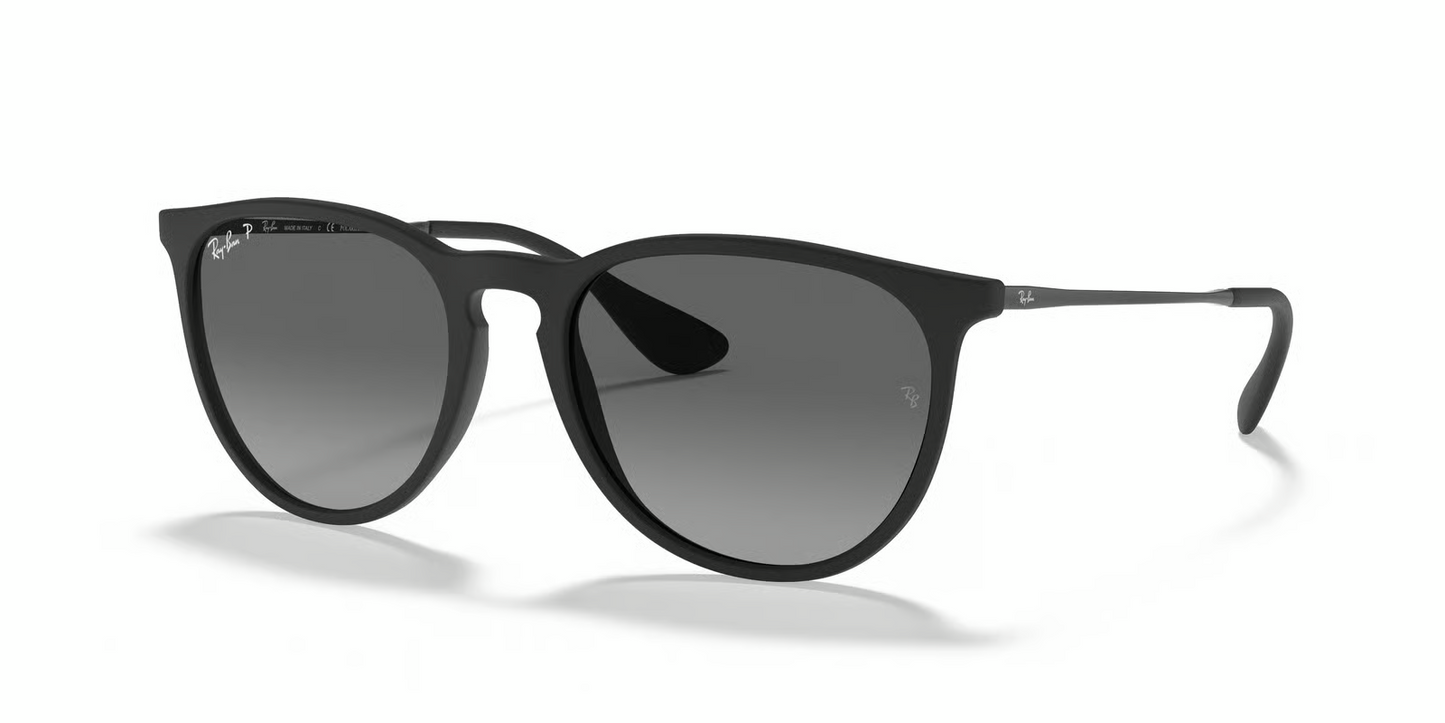 Ray-Ban RB4171F Erika Sunglasses