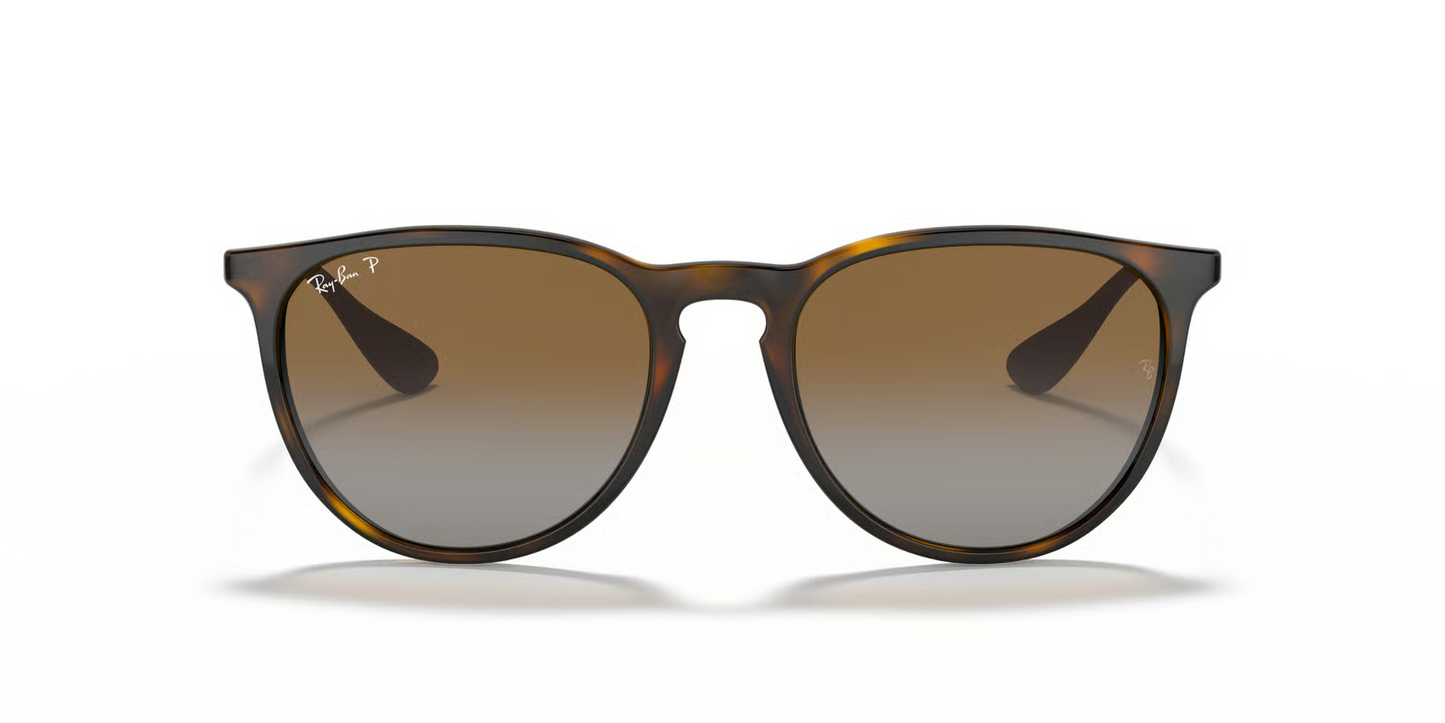 Ray-Ban RB4171 Erika Sunglasses