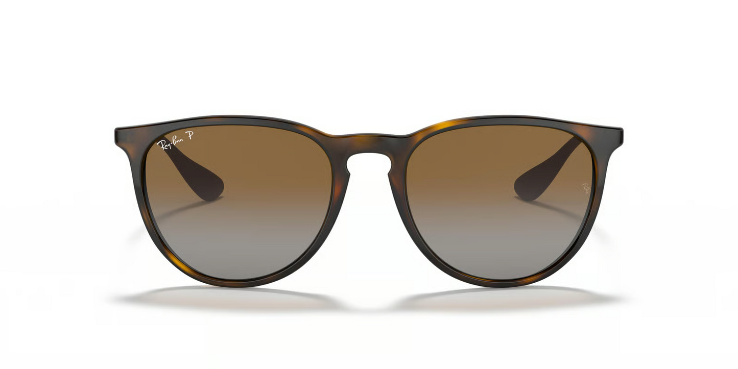Ray-Ban RB4171F Erika Sunglasses