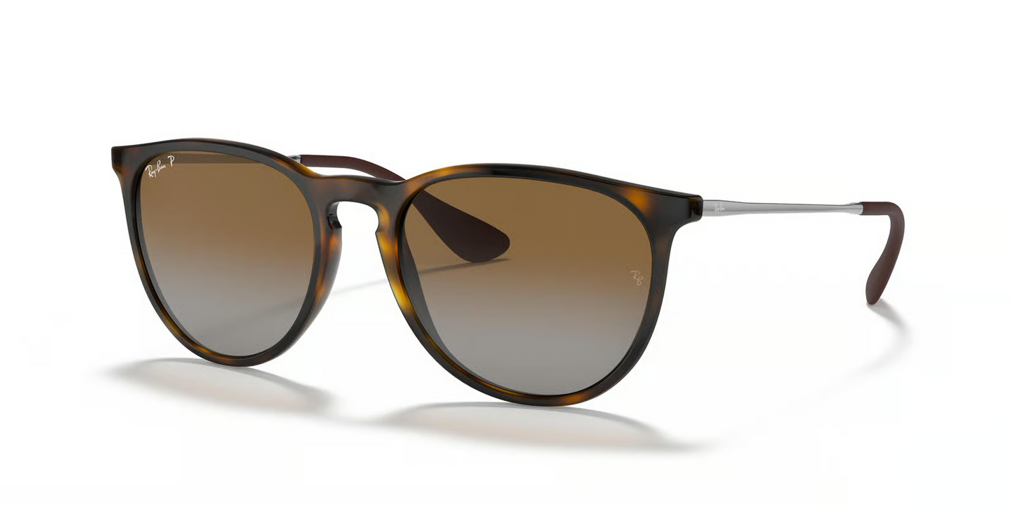 Ray-Ban RB4171F Erika Sunglasses