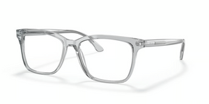 U431O1 - Crystal Grey with Clear Lenses