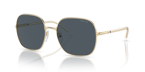 ZVN09T - Pale Gold with Dark Grey Lenses